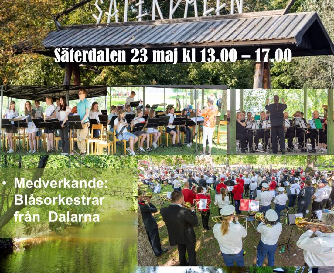 2026-02/blaasmusikens-dag-2026-2